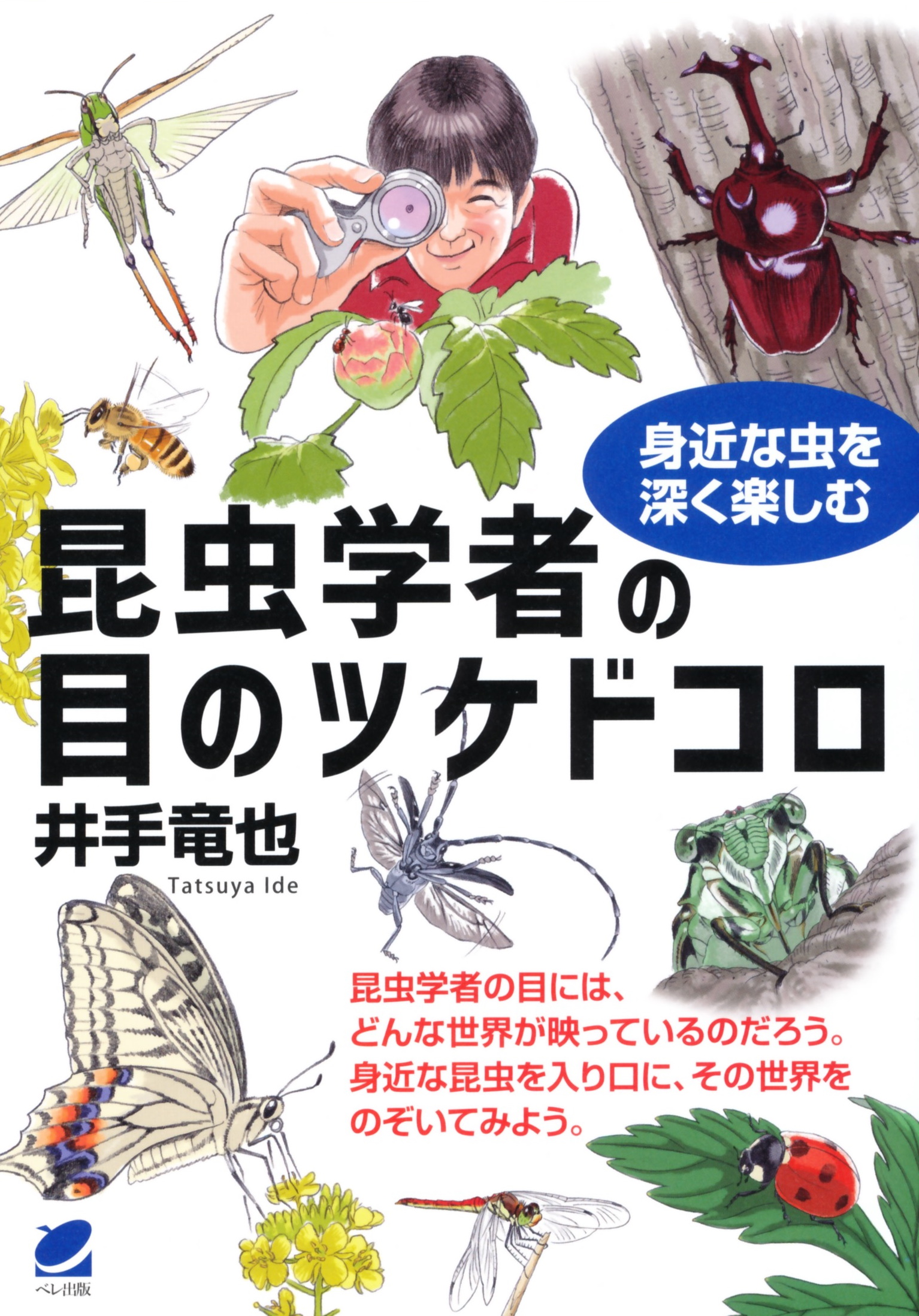 セール 昆虫学者 その他一切